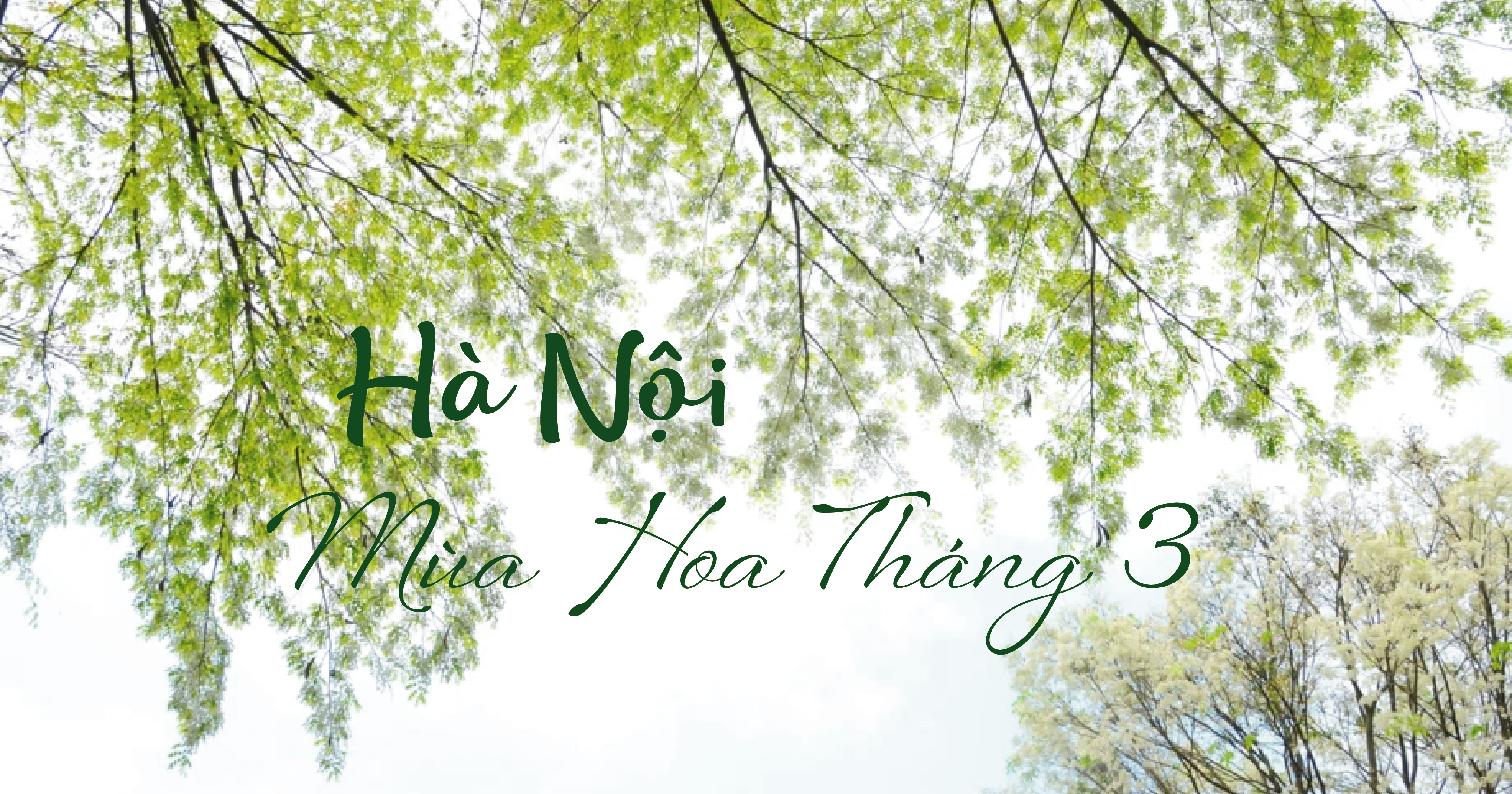 khách sạn ba đình